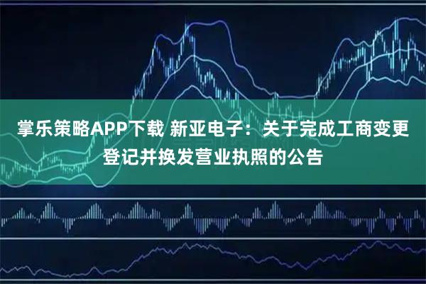掌乐策略APP下载 新亚电子：关于完成工商变更登记并换发营业执照的公告